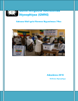 Afan Oromo Election Report.pdf